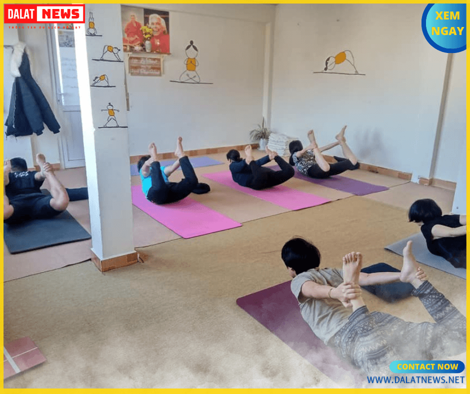 Phòng tập OM Yoga Đà Lạt