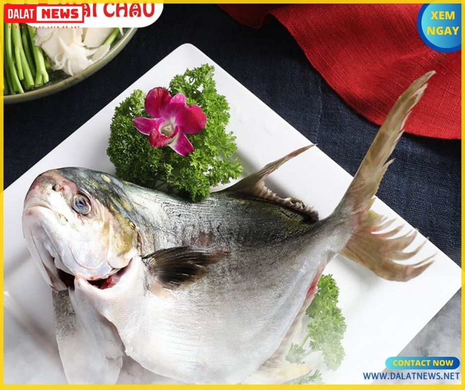 Quán hải sản Hải Châu Quận 11