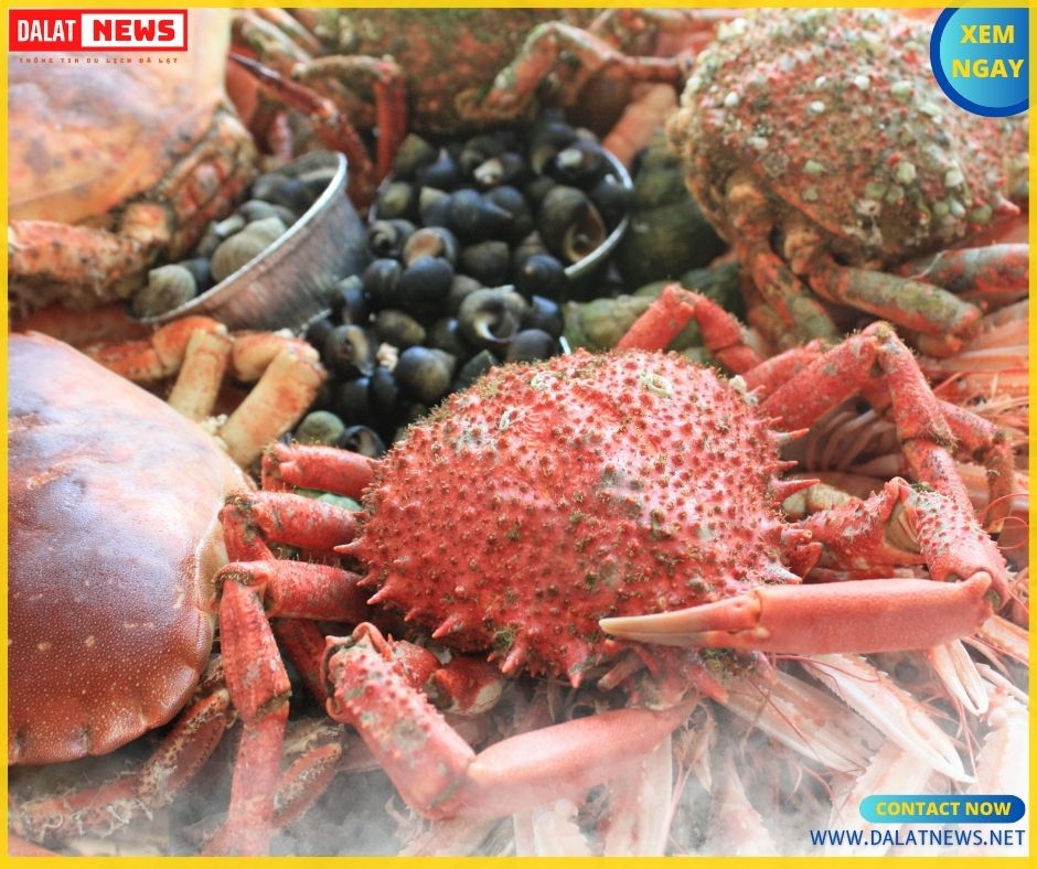 Quán hải sản ngon Quận Phú Nhuận 