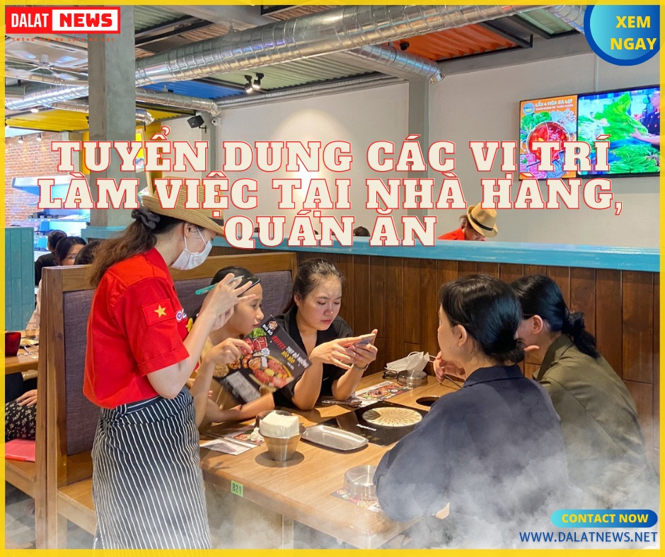 việc làm đà lạt không cần bằng cấp