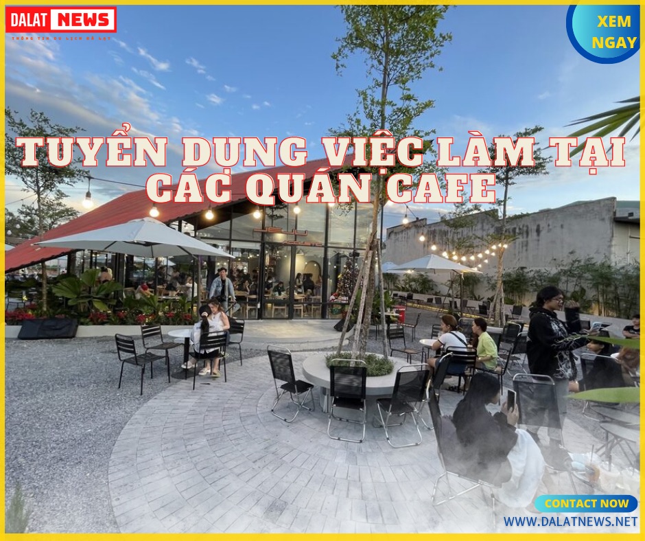 việc làm đà lạt lâm đồng