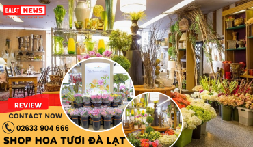 Shop hoa tươi Đà Lạt