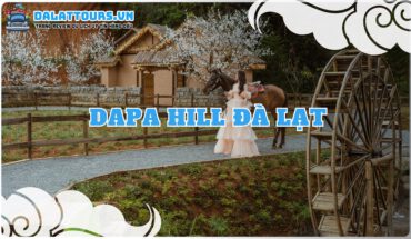 Dapa Hill Đà Lạt