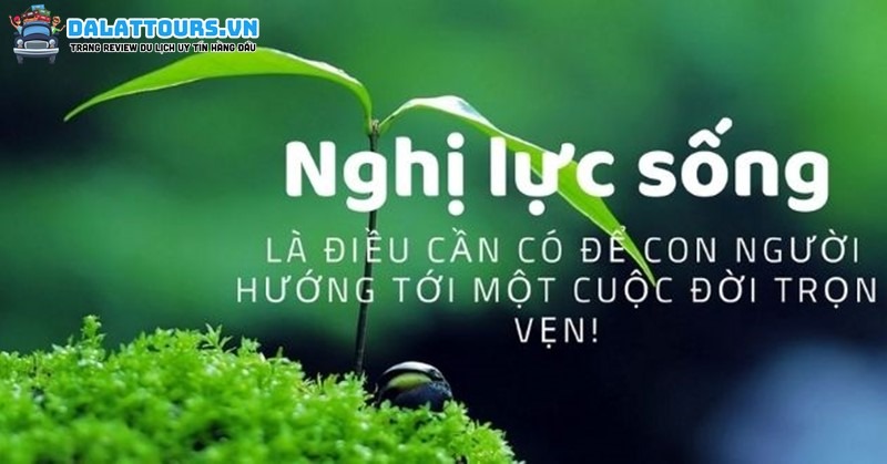 Câu nói về nghị lực trong  cuộc sống