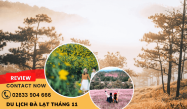 Du lịch Đà Lạt tháng 11