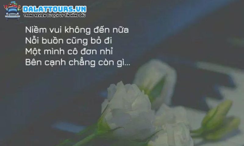 Những STT cô đơn