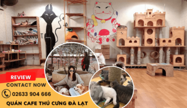 Quán cafe thú cưng Đà Lạt