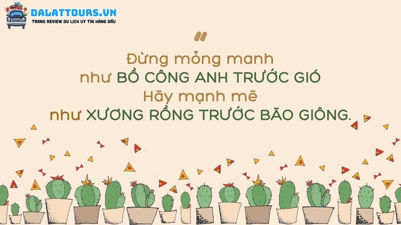 STT lạc quan dành cho người độc thân