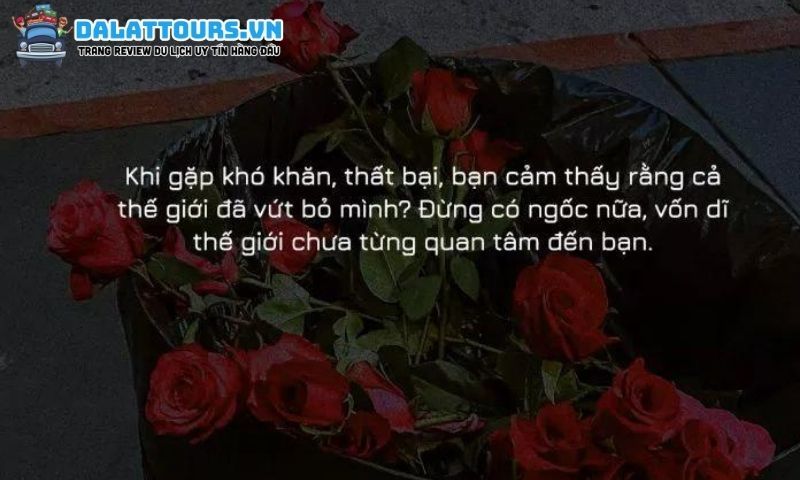 STT mệt mỏi về cuộc sống