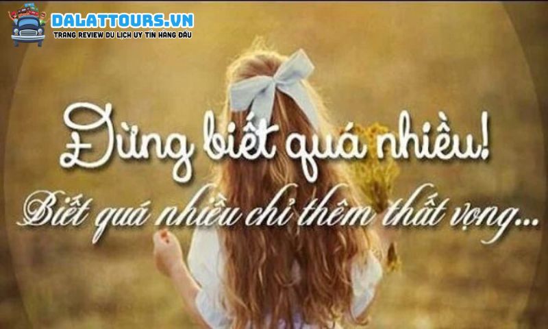 STT thất vọng về đàn ông chất