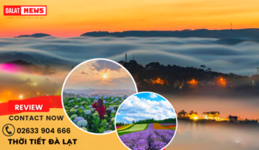 Thời tiết Đà Lạt
