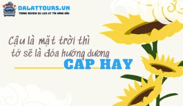 Cap hay ngắn về tình yêu, cuộc sống, gia đình ý nghĩa