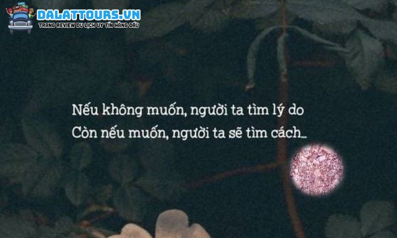 Câu STT thất tình