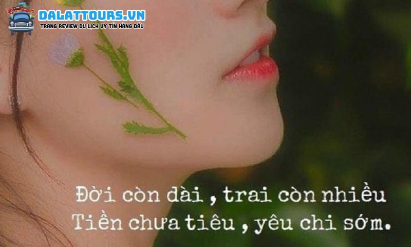 Những stt dễ thương
