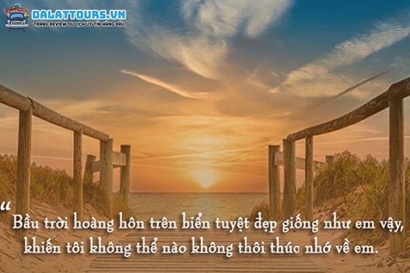 STT biển hoàng hôn