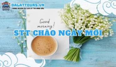 STT chào ngày mới