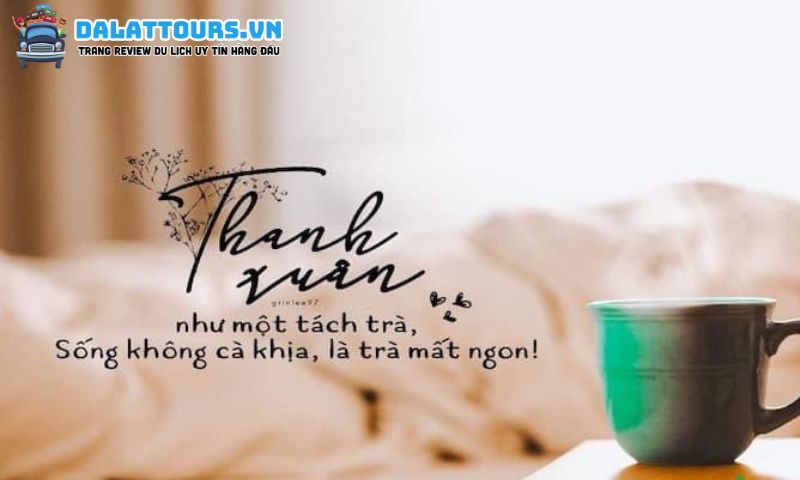 STT dễ thương đáng yêu