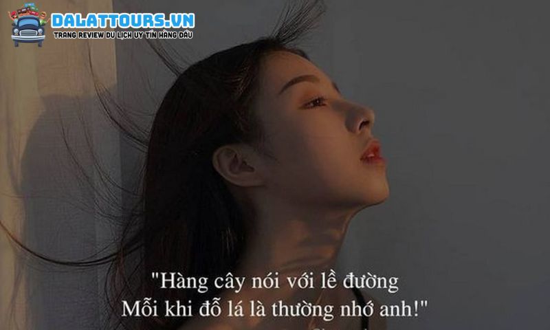 STT dễ thương một mình