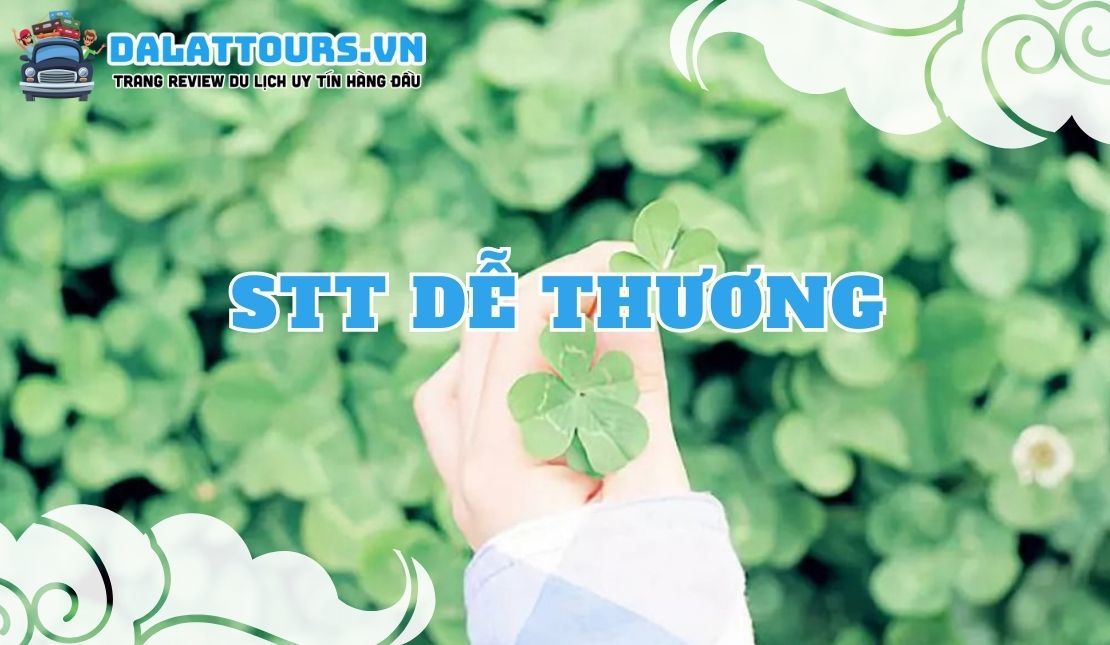 STT dễ thương