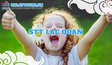 STT lạc quan