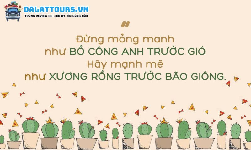 STT mạnh mẽ vươn lên trong cuộc sống