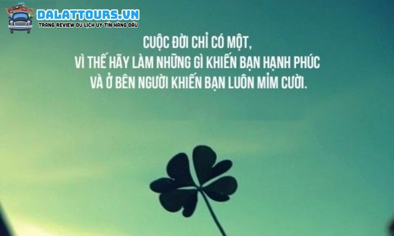 STT mạnh mẽ yêu đời