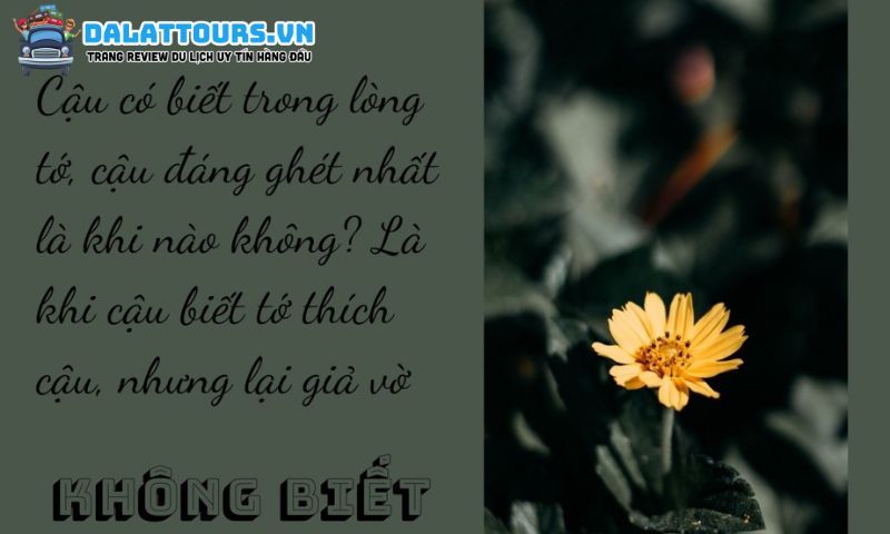 STT thất tình ngắn gọn