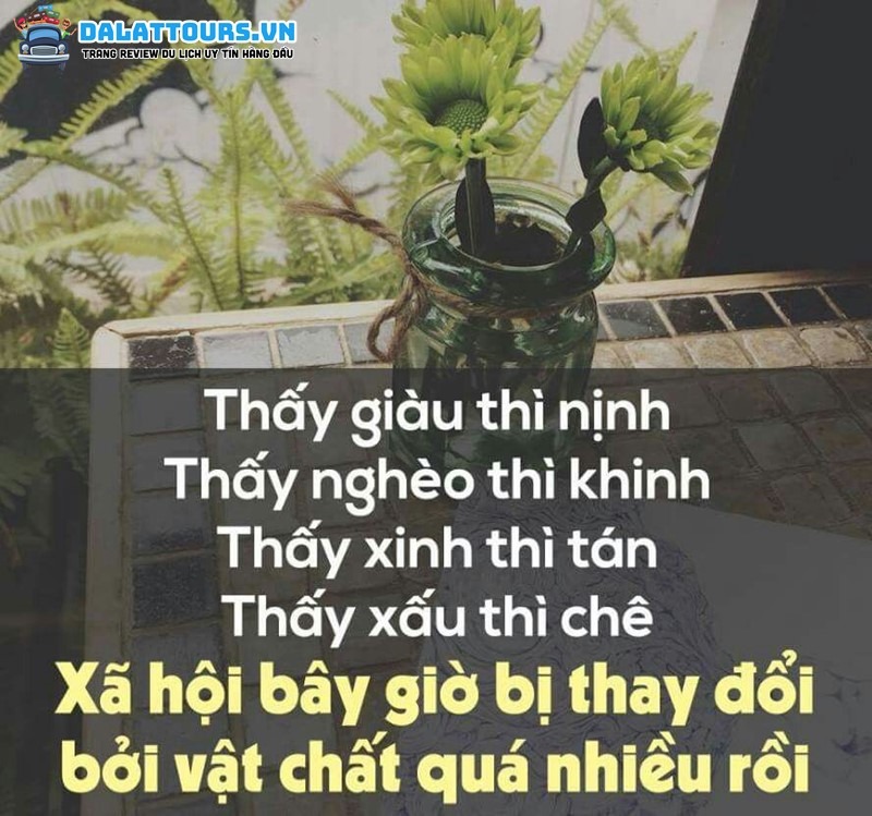 STT về tình bạn và đồng tiền