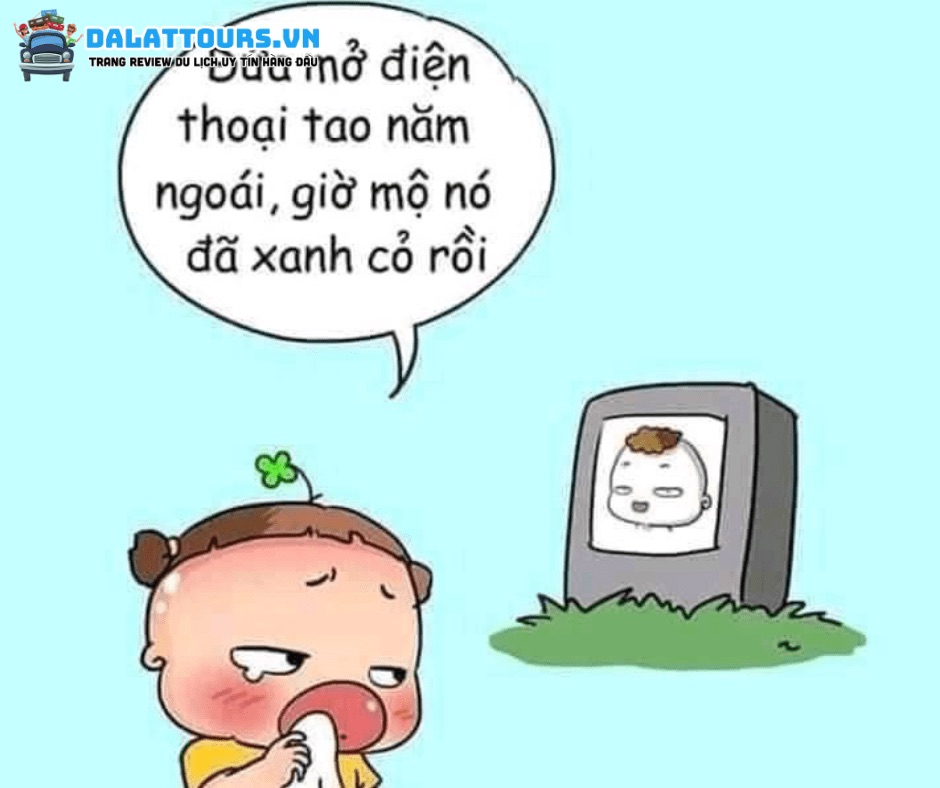 cà khịa tv