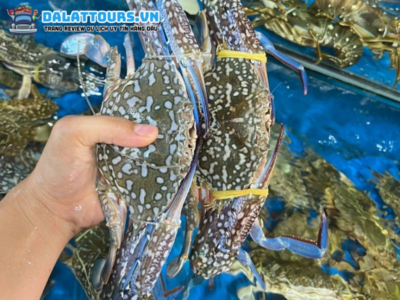 Vựa Hải Sản Vietcrab Tân Bình