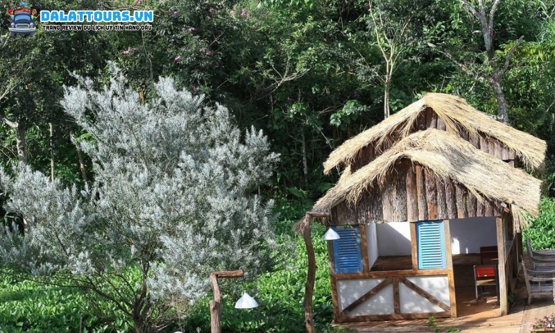 Donkihote Valley Đà Lạt tuyệt vời