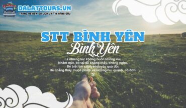 STT bình yên