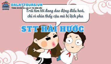 STT hài hước