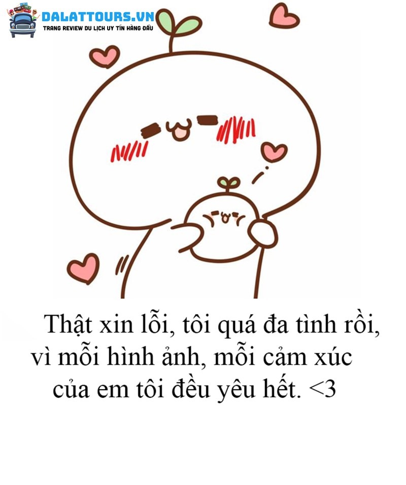 STT xin lỗi chân thành