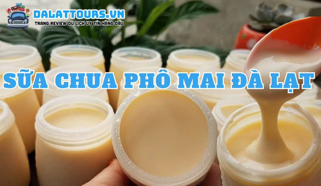 Sữa chua phô mai Đà Lạt