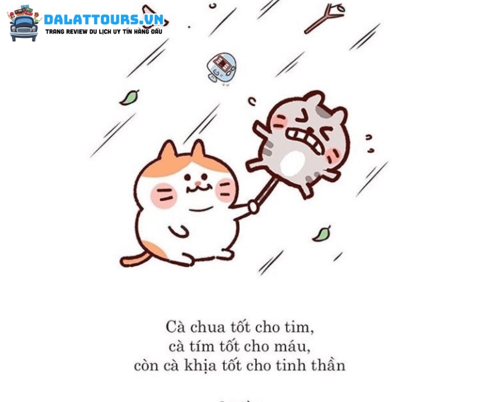 từ cà khịa bắt nguồn từ đâu