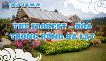 The Florest – Hoa Trong Rừng Đà Lạt