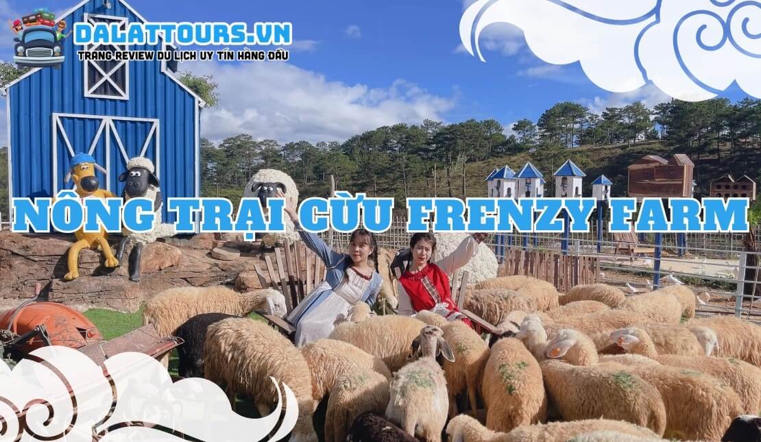 Nông trại cừu Frenzy Farm