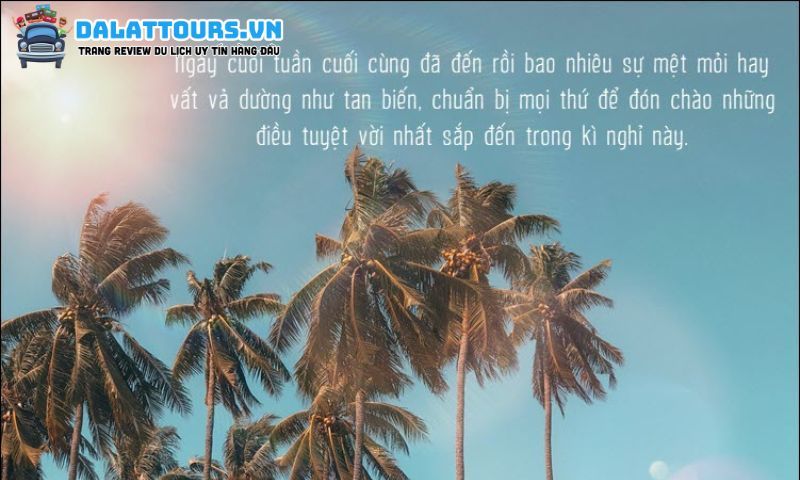 STT cuối tuần năng lượng
