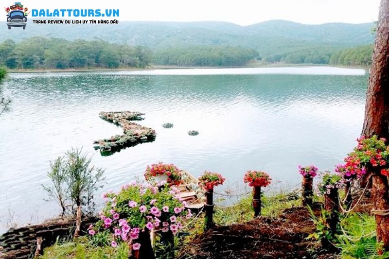 Chiêm ngưỡng vườn hoa sen đá dưới hồ Tuyền Lâm